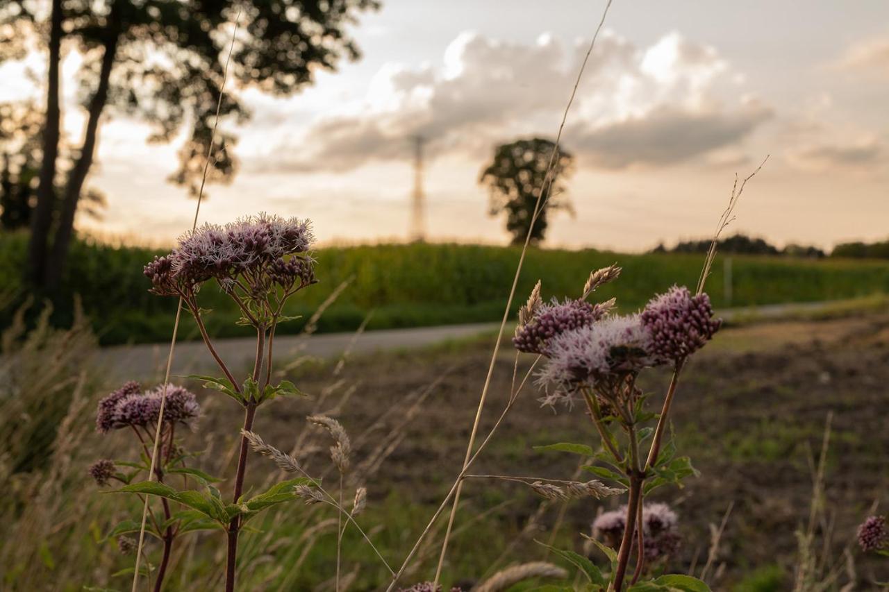 Villa veld en velo Bree Buitenkant foto